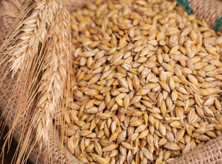 FOOD GRAINS